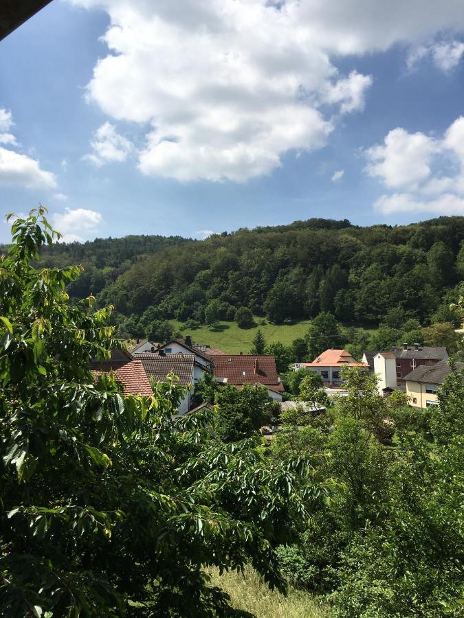 Appartamento Haus Sonnenschein Mespelbrunn Esterno foto