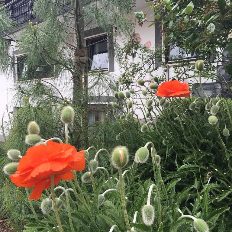 Appartamento Haus Sonnenschein Mespelbrunn Esterno foto